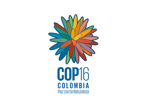 Cop 16