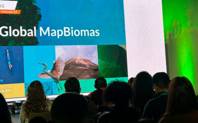 MAPBIOMAS COLOMBIA, REVELA LA NUEVA COLECCIÓN 3.0