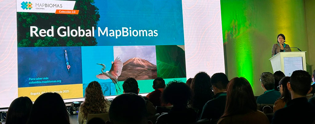 mapbiomas